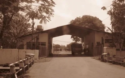 Om Jordan dari Porong (1957)