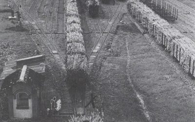 Masinis Van De Wal di PG Ketanggungan Barat