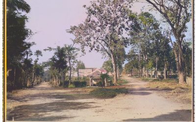 Kunjungan Gubernur Jenderal ke NIMEF di Kendalpayak Malang & Album Foto 1922