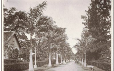 Sejarah Berdirinya Rumah Sakit Gila dan Acara Sedekah Bumi di Sumber Porong Lawang 1902