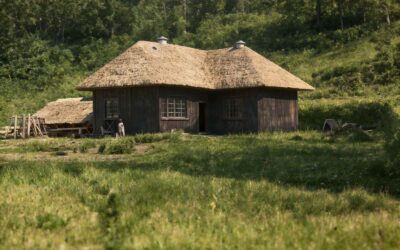 Kondisi Satwa Liar di Hyang (Bagian IV)