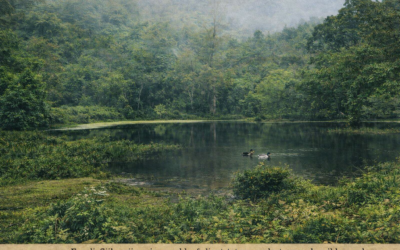 Kabut Disekitar Hyang (Bagian V)