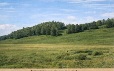 Kerajaan “Raja Ledeboer” (Bagian III)