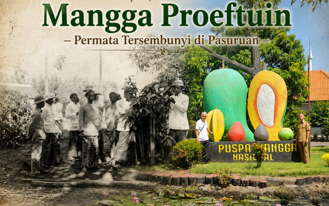 Mangga Proeftuin Pohjentrek – Permata Pasuruan yang Tersembunyi di Balik Gemerlap POJ