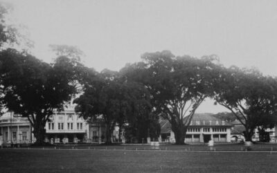 Gedung Kantor Pajak di Alun-alun Malang, Hasil Karya Putra Bangsa Indonesia Sendiri